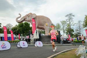 BIB: 
                            <button type="button" onclick="openModal(26528439)" class="btn btn-primary btn-sm float-right btn-popup" data-toggle="modal" data-target=".modal-high-quality">
                        <i class="fas fa-shopping-cart"></i> Add to Cart
                    </button>
                                            <button type="button" onclick="isThisMe(26528439, true)" class="btn btn-success btn-sm float-right btn-popup btn-isme hidden" data-toggle="tooltip" data-placement="bottom" title="นี่คือรูปของคุณใช่ไหม คลิกที่นี่เพื่อเอาเข้าอัลบั้ม">
                        <i class="fas fa-plus"></i> Add to album
                    </button>
                    <button type="button" onclick="isThisMe(26528439, false)" class="btn btn-warning btn-sm float-right btn-popup btn-isnotme hidden">
                        <i class="fas fa-ban"></i> Remove from album
                    </button>